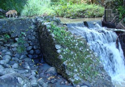 LaTille Falls and Garden