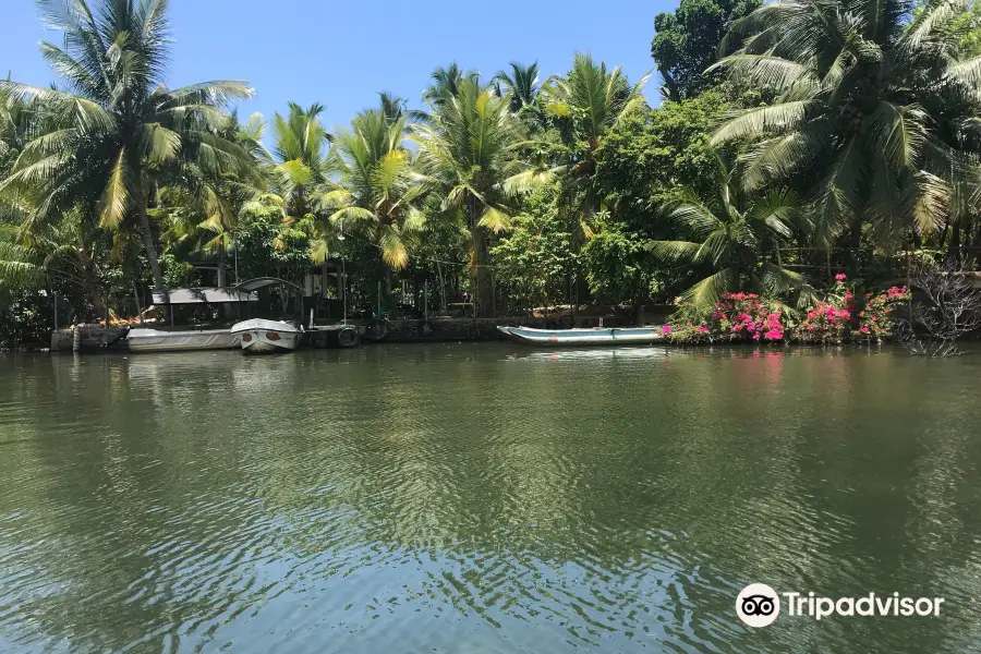 Lagoon Herbal Garden