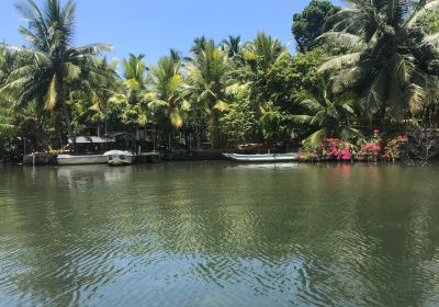 Lagoon Herbal Garden