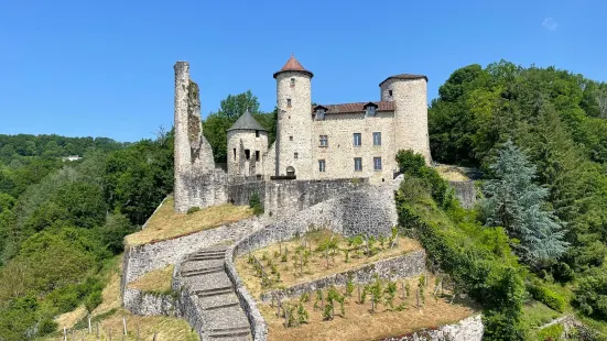 Château de Laroque