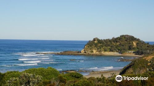 Shelly Beach