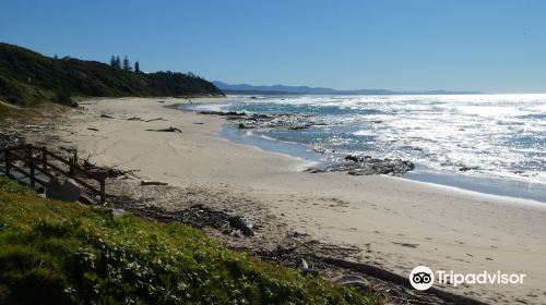 Shelly Beach