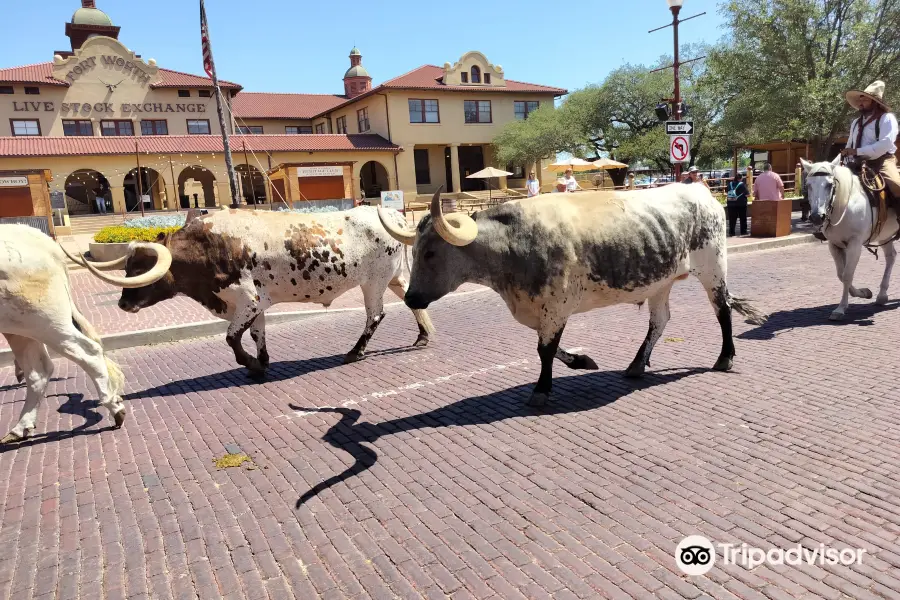 Fort Worth Livestock Exchange