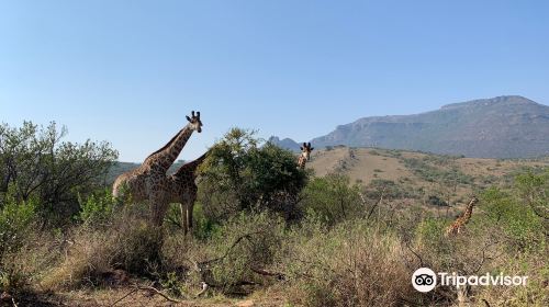 Ithala Game Reserve