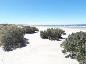 Playas Doradas