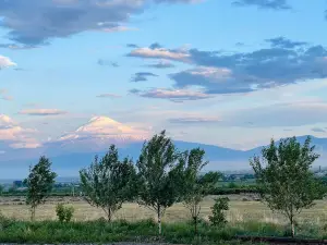 VOSKENI wines