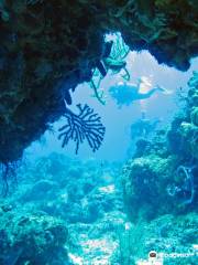 Cancun Scuba Center