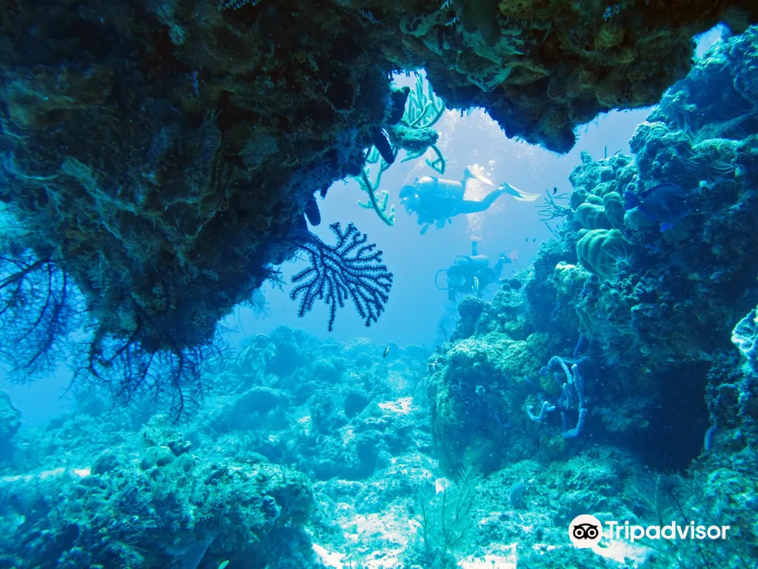 4_Cancun Scuba Center