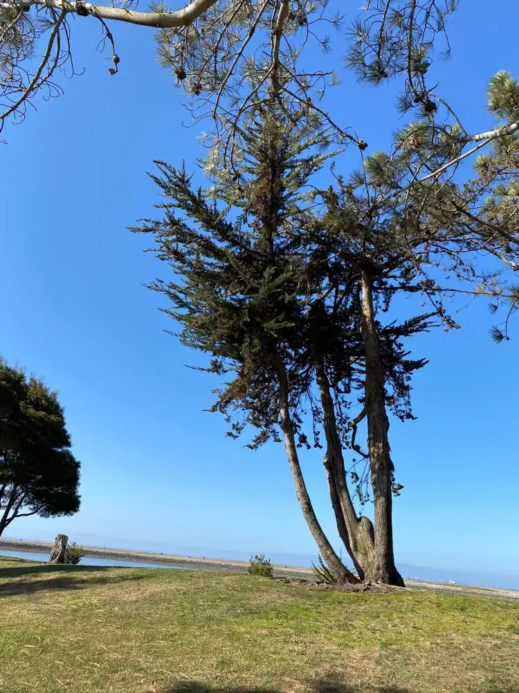 Hotels in San Leandro