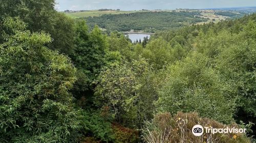 Wyming Brook Nature Reserve