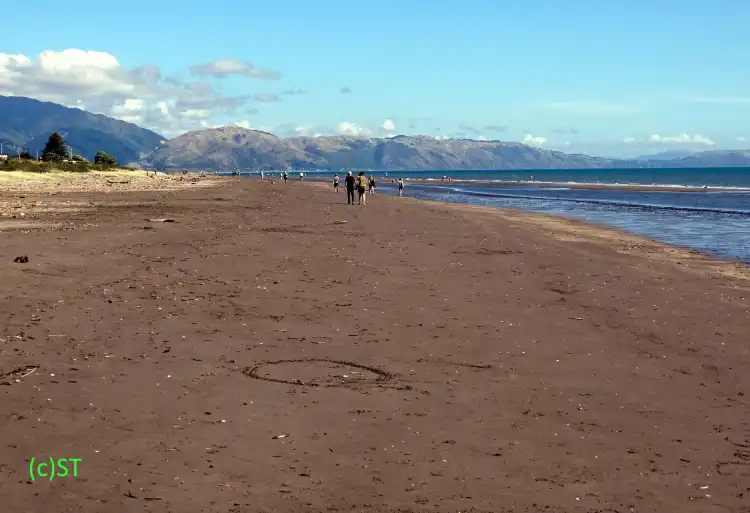 Hotel di Waikanae Beach