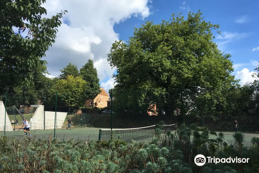 Friends of St. James' Park, Southampton