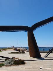 Esperance Whale Tail