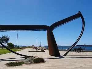 Esperance Whale Tail