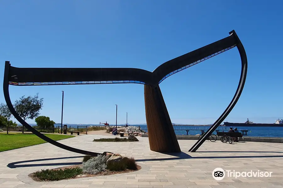 Esperance Whale Tail