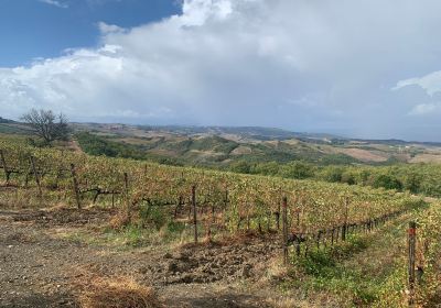 Basile Azienda Agricola Biologica