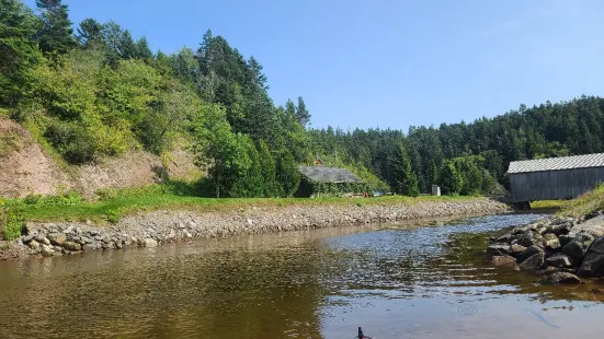 Bay Of Fundy Adventures