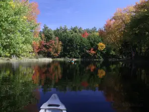 Parque nacional Kejimkujik