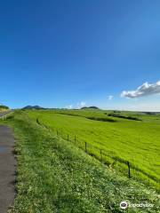 Kohala Mountain Rd