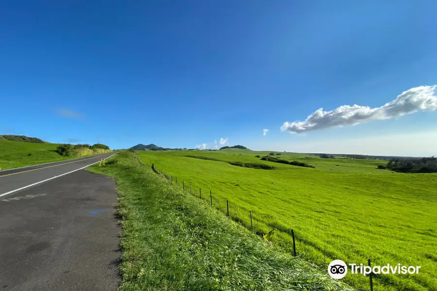 Kohala Mountain Rd