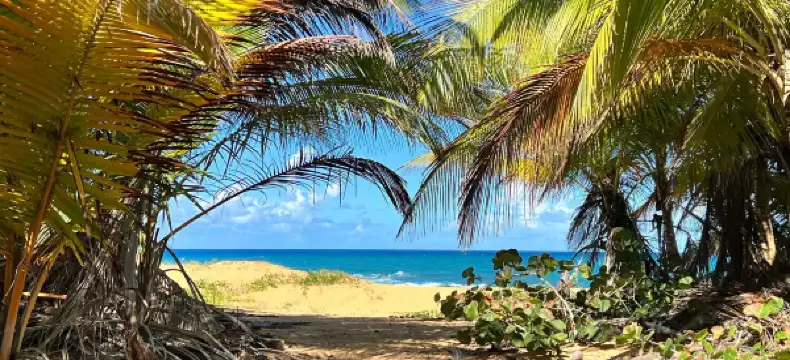 โรงแรมในแคโรไลนา