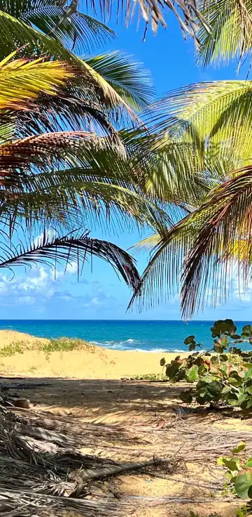 カロライナのホテル