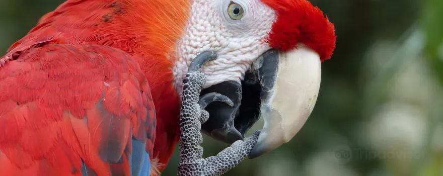 Mesker Park Zoo