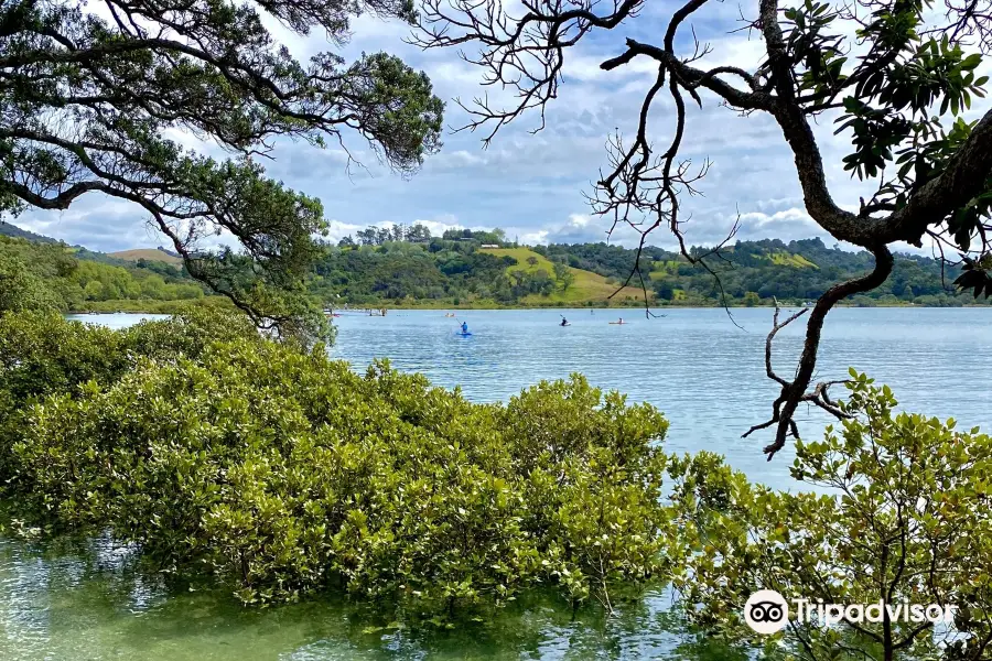 Wenderholm Regional Park