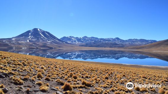 Reserva Nacional de Flamencos