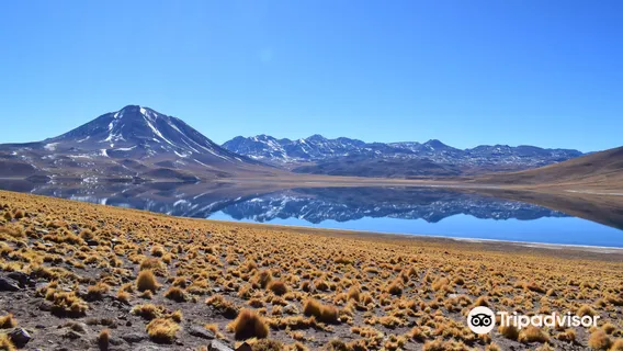 Reserva Nacional de Flamencos