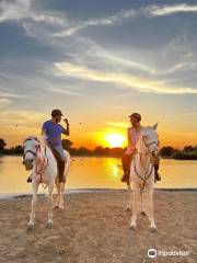 Al Jiyad Stables