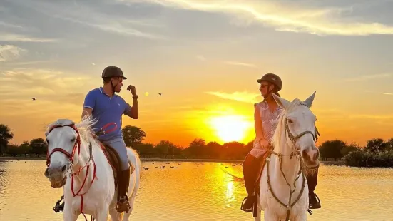 Al Jiyad Stables