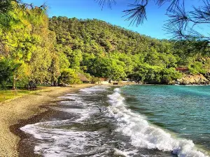 Katranci Koyu Tabiat Parki