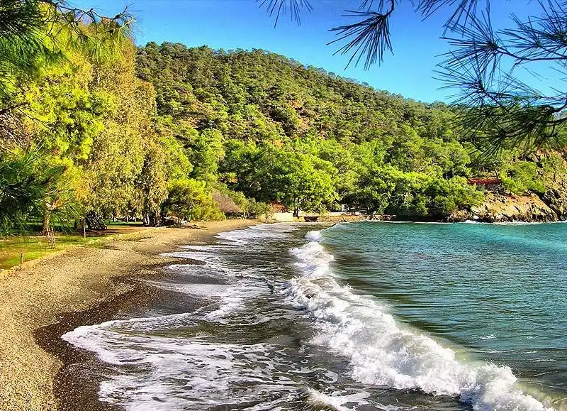 Hotels near Katranci Koyu Tabiat Parki