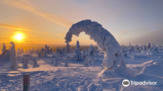 Riisitunturi National Park