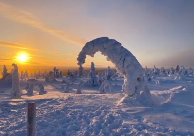 Ostlappland