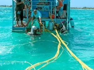 Solar Sea Walk, Underseawalk Ltd