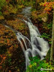 Manganese Falls