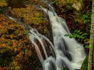 Manganese Falls