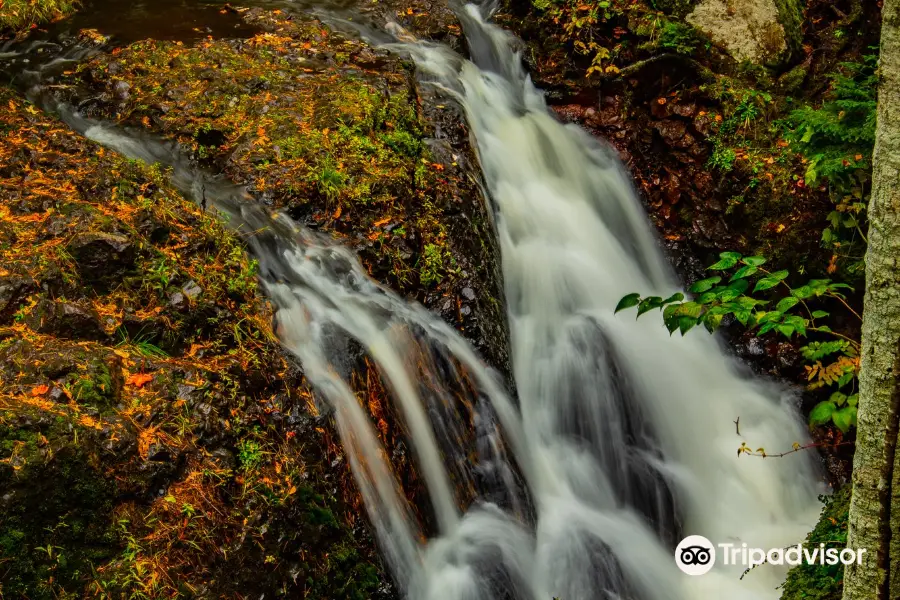 Manganese Falls