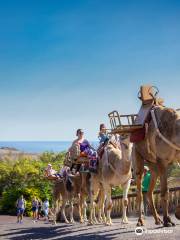 Oasis Park Fuerteventura