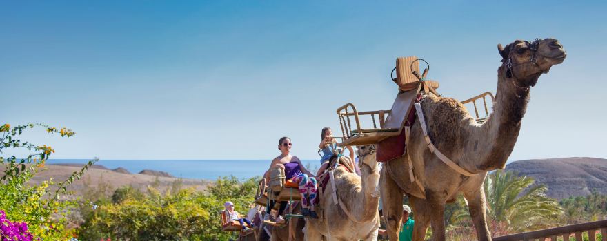 Oasis Wildlife Fuerteventura