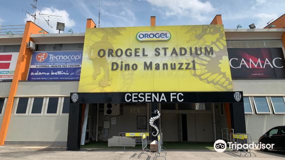 Orogel Stadium "Dino Manuzzi"