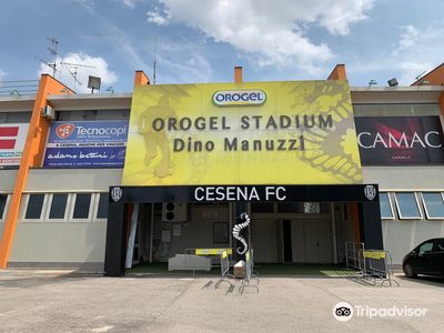 Orogel Stadium "Dino Manuzzi"