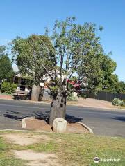 Roma War Memorial