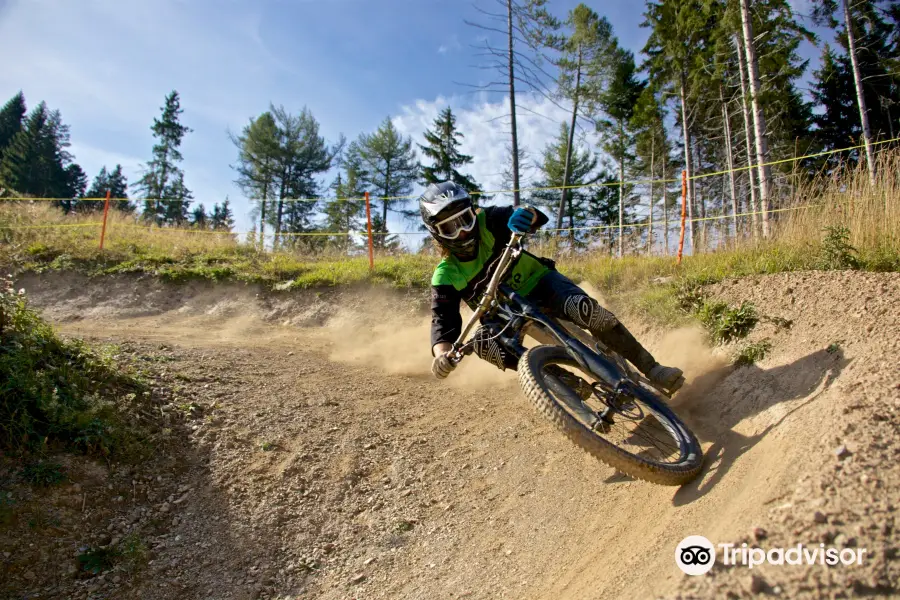 Alpen Bike Park Chur