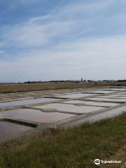 Marais salant Les Valencières