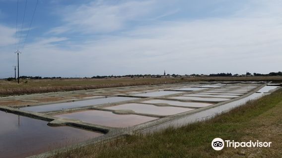 Marais salant Les Valencières