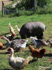 Ferme des Ours Gourmands