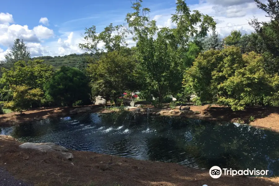 Baker Arboretum & Downing Museum